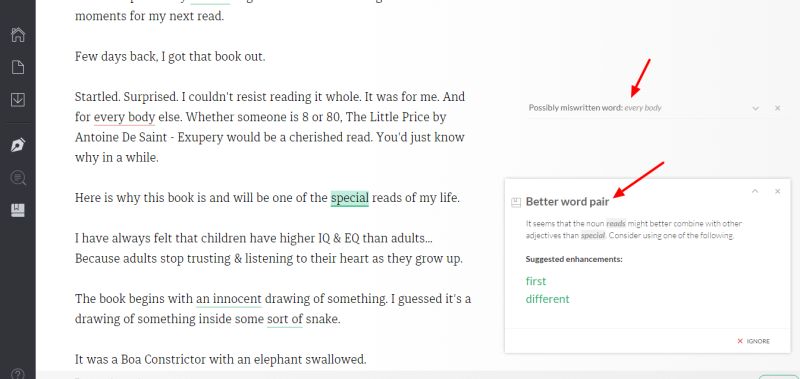 Grammarly review by sunita biddu